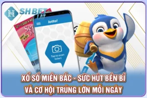 Xổ Số Miền Bắc - Sức Hút Bền Bỉ Và Cơ Hội Trúng Lớn Mỗi Ngày